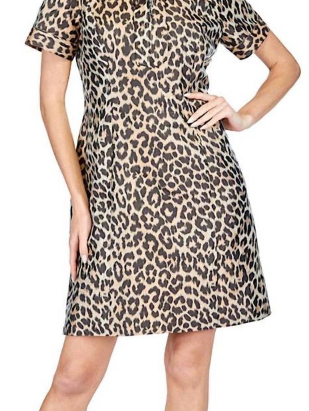 JADE Leopard Print Short Sleeve Leopard Print Midi Dress, Large